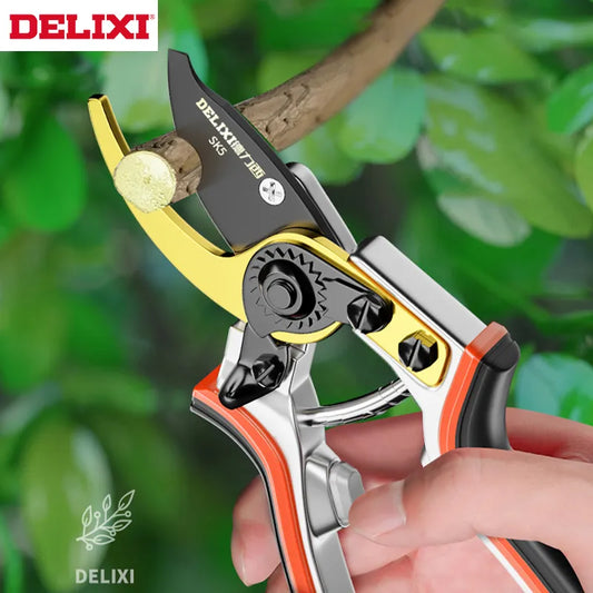 Delixi Pruning Scissors